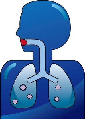 免疫力を強めて肺を強化する